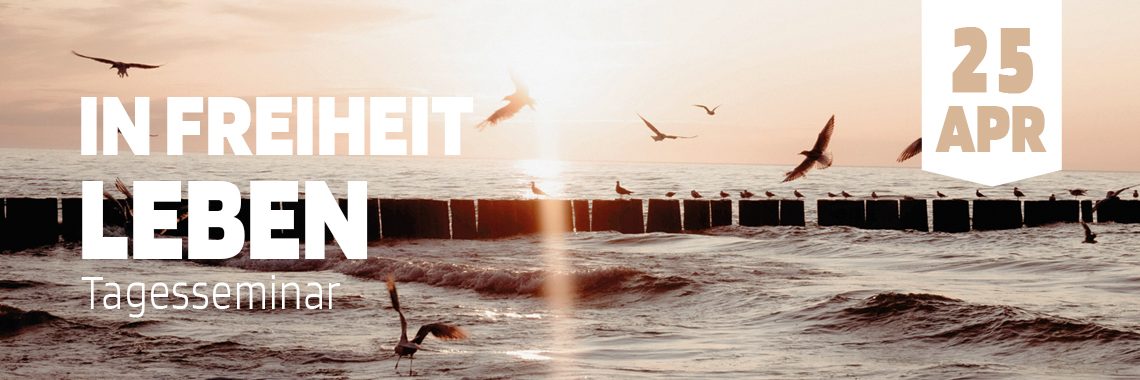 CrossWalk Taufe 2022 CrossWalk Taufe 2022